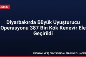 Diyarbakırda Büyük Uyuşturucu Operasyonu 387 Bin Kök Kenevir Ele Geçirildi