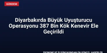 Diyarbakırda Büyük Uyuşturucu Operasyonu 387 Bin Kök Kenevir Ele Geçirildi