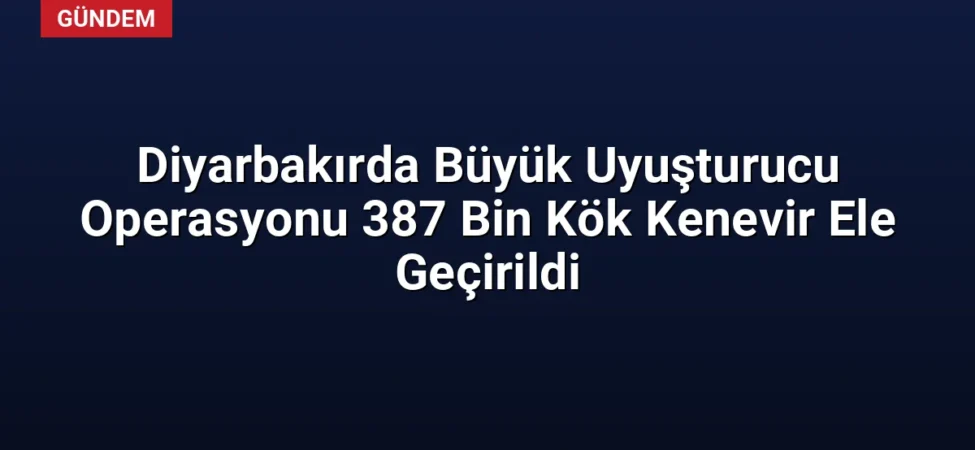 Diyarbakırda Büyük Uyuşturucu Operasyonu 387 Bin Kök Kenevir Ele Geçirildi