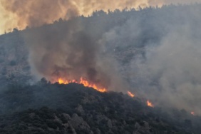 Kaş'ta Orman Yangınıyla Mücadele Devam Ediyor