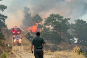 Aydın'da Devam Eden Orman Yangınına Karadan ve Havadan Saldırı
