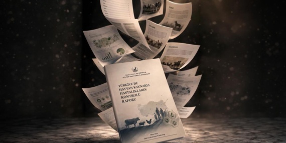 Ülkü Ocakları İzmir İl Başkanlığı Zoonotik Hastalıklar Raporunu Hazırladı