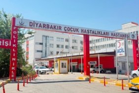 Diyarbakır'da 3 Yaşındaki Çocuğun Kuduz Tespiti