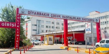 Diyarbakır'da 3 Yaşındaki Çocuğun Kuduz Tespiti