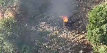 Diyarbakır'da 247 bin 145 kök kenevir ve skunk imha edildi 15 Diyarbakır'da 247 bin 145 kök kenevir ve skunk imha edildi