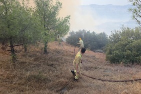 Manisa'da çıkan orman yangınına müdahale ediliyor