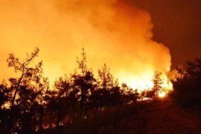 Avrupa'da bu yıl orman yangınları 600 bin hektardan fazla alanı etkiledi