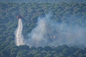 1 Haziran'dan Bu Yana 64 Orman Yangınında 11 Şüpheli Tutuklandı 1 1 Haziran'dan Bu Yana 64 Orman Yangınında 11 Şüpheli Tutuklandı