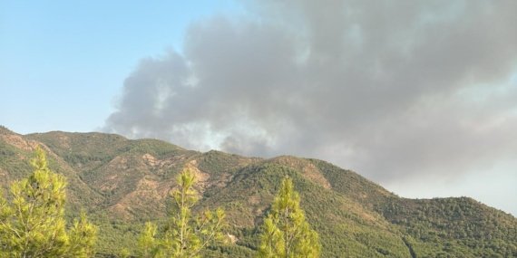 Muğla'da Orman Yangını Çıktı 7 Muğla'da Orman Yangını Çıktı