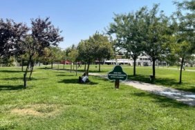 Şanlıurfa'da termometreler 46 dereceyi gösterdi 3 Şanlıurfa'da termometreler 46 dereceyi gösterdi