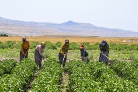 2.9 Milyon Çiftçi 6 Ayda 106 Milyar Lira Destek Aldı 4 2.9 Milyon Çiftçi 6 Ayda 106 Milyar Lira Destek Aldı
