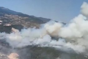 Balıkesir Sındırgı'da ormanlık alanda yangın