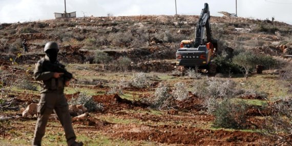 Batı Şeria'da işgalci İsrail güçleri, hasat öncesi Filistinlilere ait zeytinleri yağmaladı