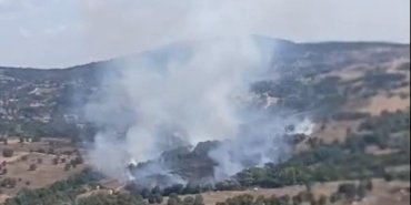 Bursa Orhaneli'deki orman yangınına müdahale tamamlandı