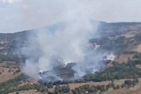 Bursa Orhaneli'deki orman yangınına havadan ve karadan müdahale sürüyor