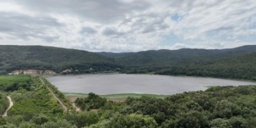 Çatalca'da Orman Emekçileri: Geçim Kaynağı ve Çevre Koruma