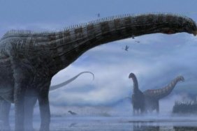Zimbabve'de 210 milyon yıllık yeni dinozor türü tespit edildi
