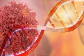 Claude, DNA kopyalamada görevli yeni bir enzim ailesini gün yüzüne çıkardı 2 Claude, DNA kopyalamada görevli yeni bir enzim ailesini gün yüzüne çıkardı