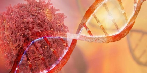 Claude, DNA kopyalamada görevli yeni bir enzim ailesini gün yüzüne çıkardı