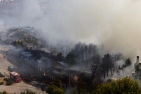 Gölbaşı'nda Ormanlık Alanda Alevler Yükseldi