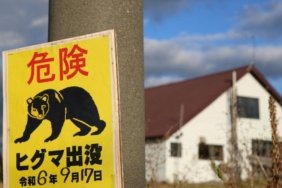 Japonya'da Yırtıcı Tehdide Karşı Teknolojik Savunma: Yapay Zeka, Dron ve Robot Kurtlar Görevde