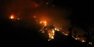 WMO Uyarısı: Artan Orman Yangınları ve Sıcaklık Rekorları Küresel Hava Kalitesi Hedeflerini Tehdit Ediyor