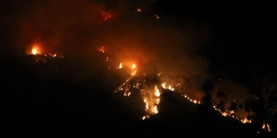 WMO Uyarısı: Artan Orman Yangınları ve Sıcaklık Rekorları Küresel Hava Kalitesi Hedeflerini Tehdit Ediyor