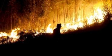 El Nino'nun etkisiyle Güneydoğu Asya'da zehirli sis krizi derinleşiyor 13 El Nino'nun etkisiyle Güneydoğu Asya'da zehirli sis krizi derinleşiyor