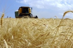 Gıda Fiyatlarını Dengelemek İçin Tarımda Yapısal Değişim Hızlanıyor