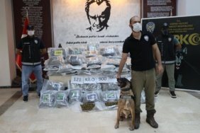 Hamzabeyli Sınır Kapısı'nda 121 Kiloya Yakın Skunk Yakalandı