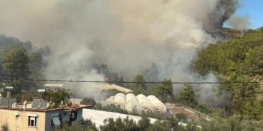 Kumluca'da ormanlık alanda alevler 12 Kumluca'da ormanlık alanda alevler
