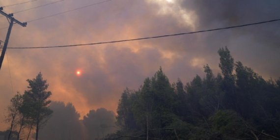 Yunanistan'da Larisa ve Halkidiki'de orman yangınları başladı