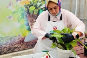 Zarar Gören Bitkiler İçin Özel Tedavi Merkezi