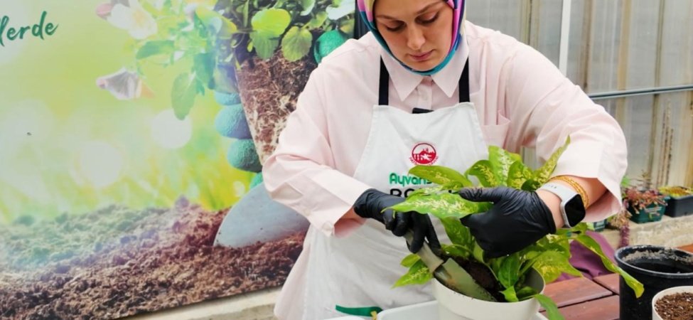 Zarar Gören Bitkiler İçin Özel Tedavi Merkezi 7 Zarar Gören Bitkiler İçin Özel Tedavi Merkezi