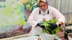 Bitkilerin de hastanesi var