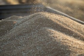 TİGEM Polatlı'dan 4 Bin 427 Ton Buğday İçin Açık Artırma