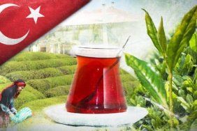 Çay ihracatı 9 ayda 25 milyon doları aştı 1 Çay ihracatı 9 ayda 25 milyon doları aştı