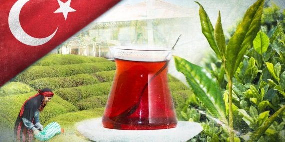 Çay ihracatı 9 ayda 25 milyon doları aştı 10 Çay ihracatı 9 ayda 25 milyon doları aştı