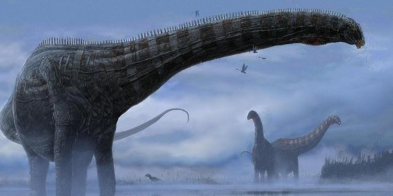 Depolarda 25 Yıl Bekleyen Dinozor Fosili Yeni Bir Tür Olarak Tanımlandı 8 Depolarda 25 Yıl Bekleyen Dinozor Fosili Yeni Bir Tür Olarak Tanımlandı