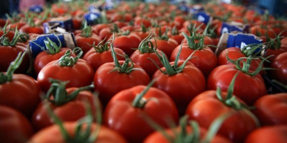 Türkiye'nin 9 Aylık Taze Sebze Dış Satımı 822 Milyon Doları Aştı