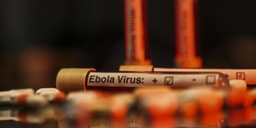 Nijerya, Ebola Sınır İhlali Tehdidiyle İlgili Alarm Verdi 12 Nijerya, Ebola Sınır İhlali Tehdidiyle İlgili Alarm Verdi