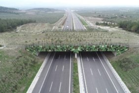 21 ekolojik köprüyle yaban hayatına güvenli geçiş sağlandı 1 21 ekolojik köprüyle yaban hayatına güvenli geçiş sağlandı