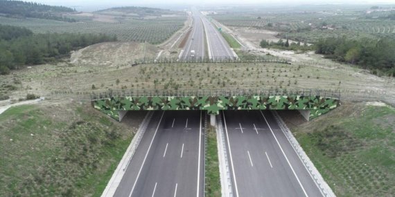 21 ekolojik köprüyle yaban hayatına güvenli geçiş sağlandı 9 21 ekolojik köprüyle yaban hayatına güvenli geçiş sağlandı