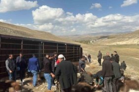 Erzurum'da devrilen tırda 130 küçükbaş hayvan telef oldu 3 Erzurum'da devrilen tırda 130 küçükbaş hayvan telef oldu