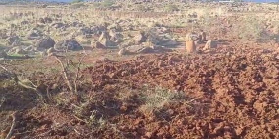 Koruma altındaki alanda izinsiz tarımsal faaliyette bulunan kişiye yüklü ceza 10 Koruma altındaki alanda izinsiz tarımsal faaliyette bulunan kişiye yüklü ceza