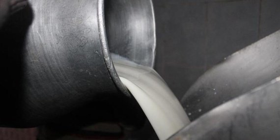 Mesleki yeterlilik belgeli çalışanların topladığı süte ilave destek